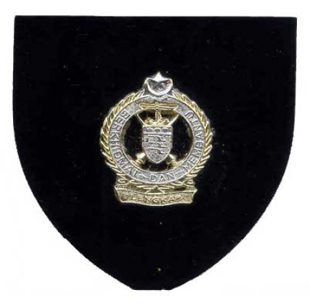 Malaysian Army Badges